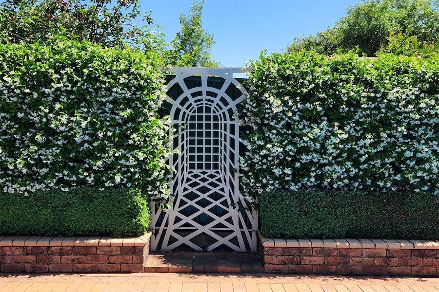 Timeless focal point for a small garden