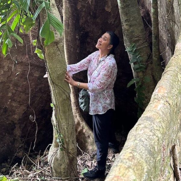 Author Bobis places her trust in trees