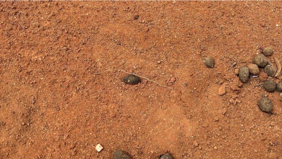 Troops join outback search for boy after footprint clue