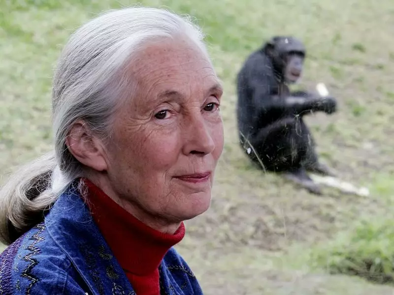 Wildlife advocate and primate expert Jane Goodall dies