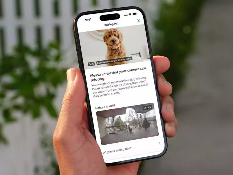 How AI will be used to help neighbours find lost dogs