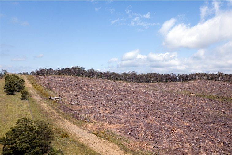Path narrows to pass Labor’s environment laws