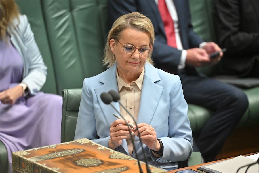 Sussan Ley is flying close to the ground, can she stay aloft?