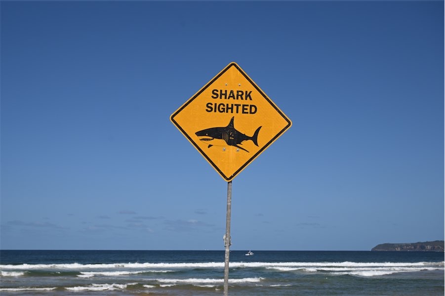 Woman dead but man heroically saved after shark attack