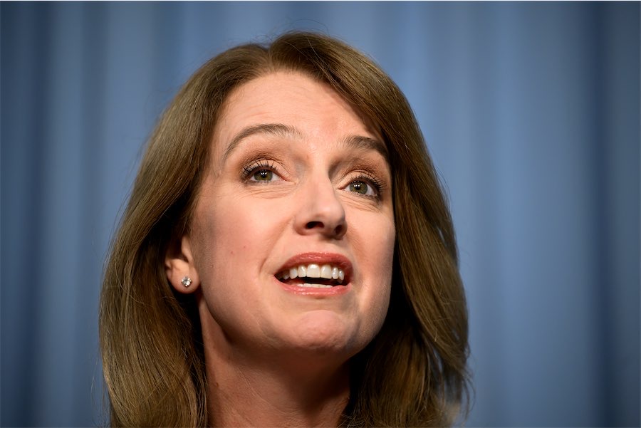 ‘Ready to fight’: first-term MP rises to leadership
