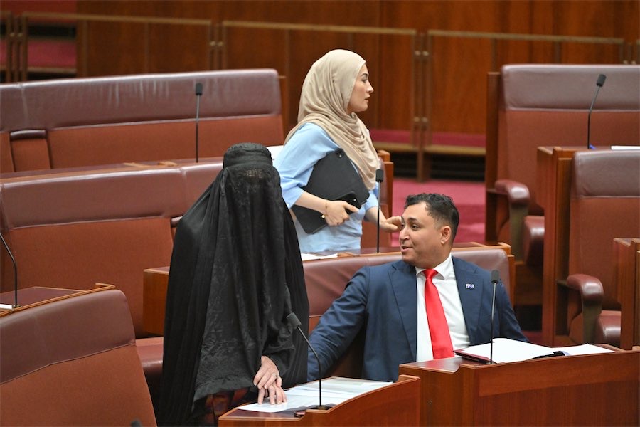 Pauline Hanson barred from parliament after burqa stunt