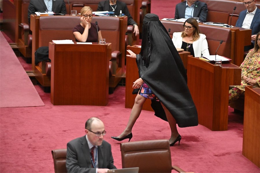‘Racist’: Hanson condemned for reprising burqa stunt