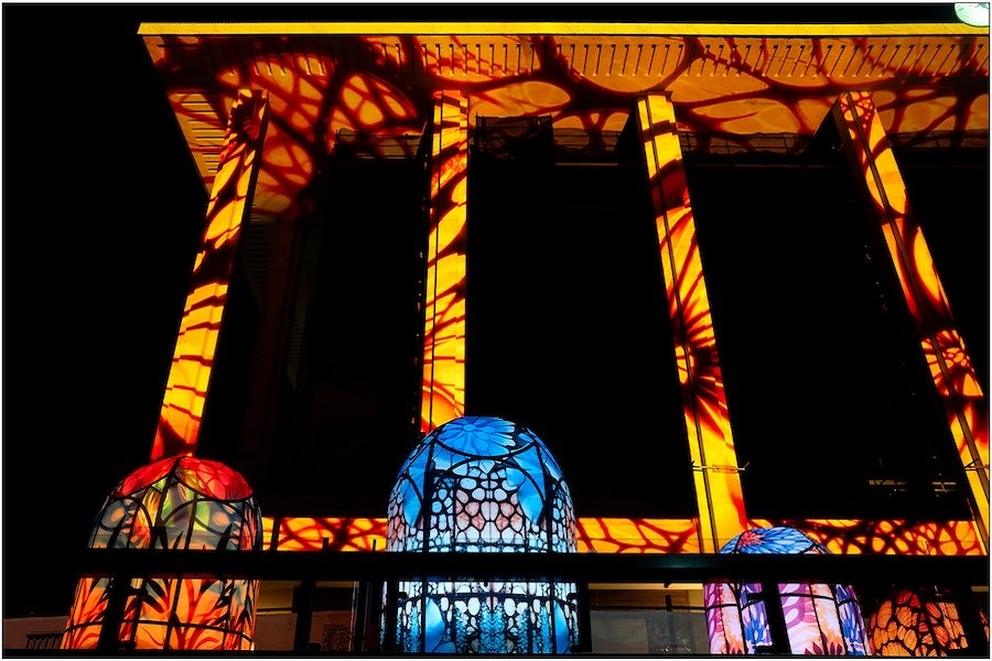 National artists will light up Enlighten next year