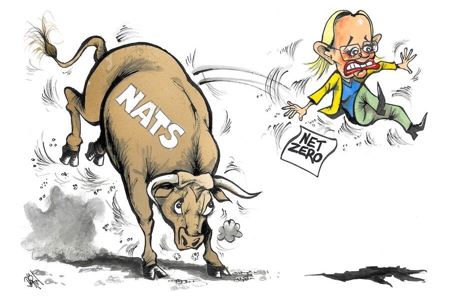 Talkative Liberals amplify the net-zero shambles
