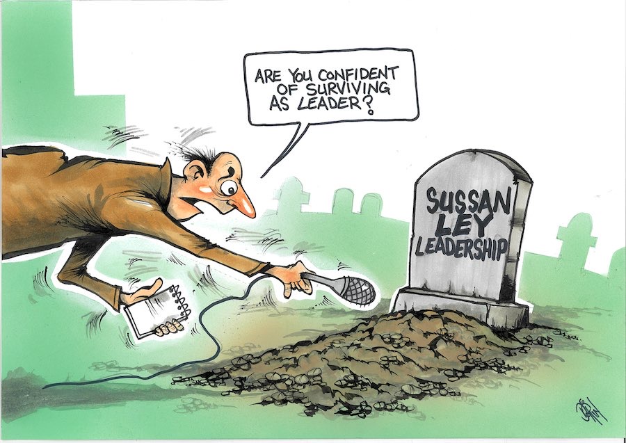 Cartoon / Dose of Dorin