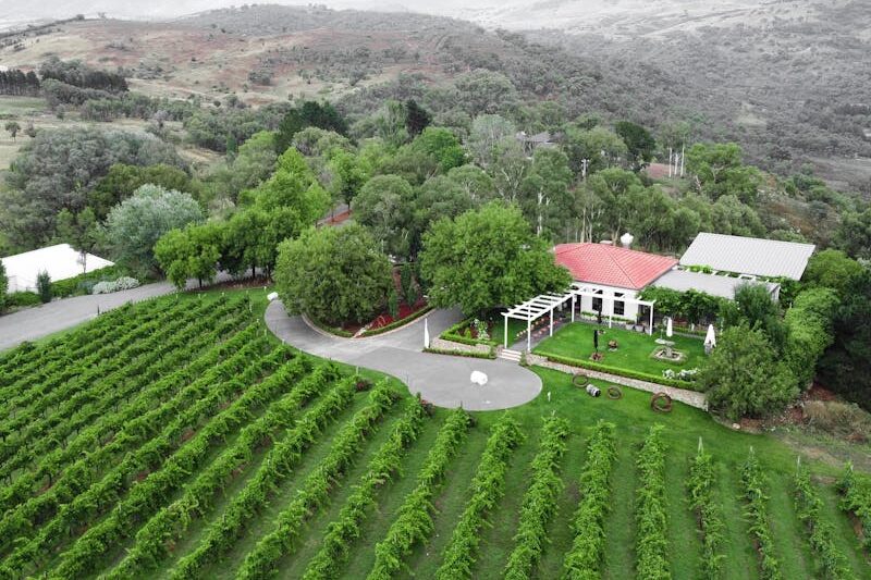 Brindabella Hills wins wine-show champion title