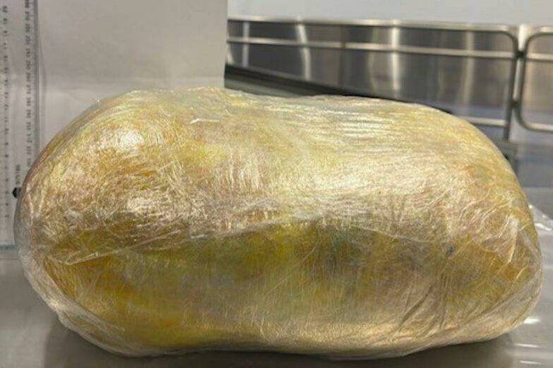 Dodgy traveller admits to having large package in pants