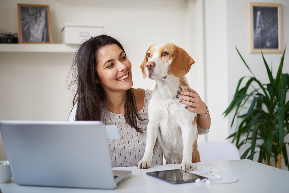 Survey reveals WFH used for housework to hanky panky