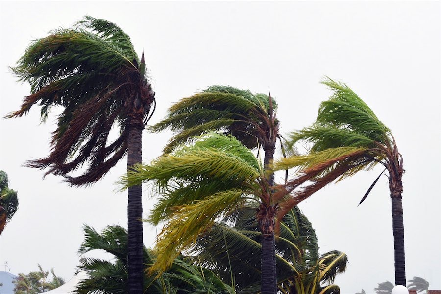 Cyclone clean-up begins, while monsoon damage assessed