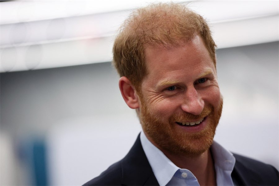 Prince Harry likens royal life to Downton Abbey