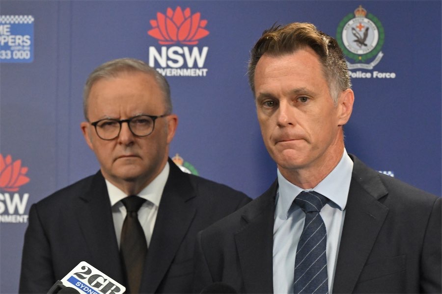 Bondi shooting: guns laws to be overhauled