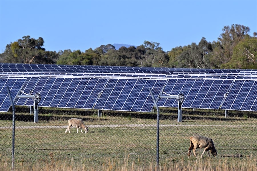 Wallaroo locals lose fight over contentious solar farm