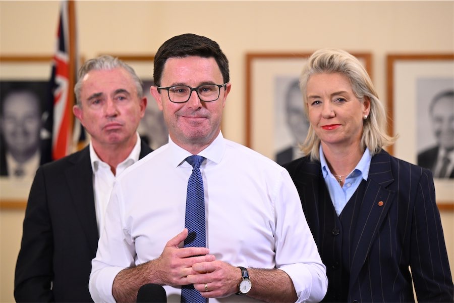 Nationals leader secure after spill bid falls flat