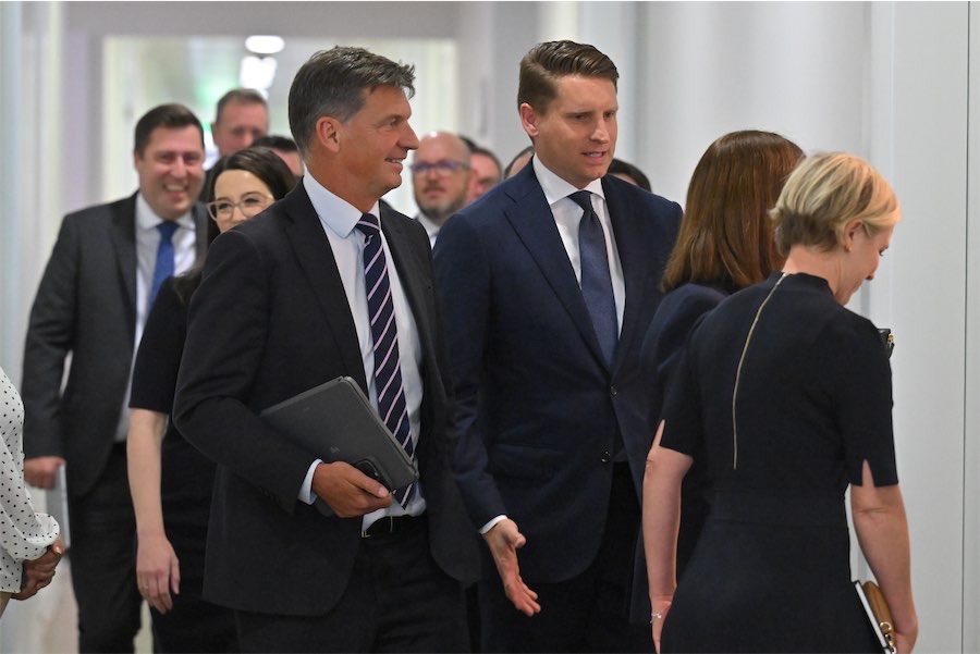 Liberal MP rules himself out of leadership challenge