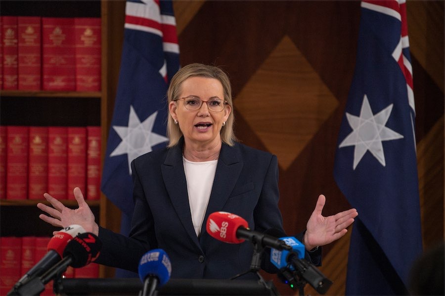 Ley wedged by her own troops on Albanese bill