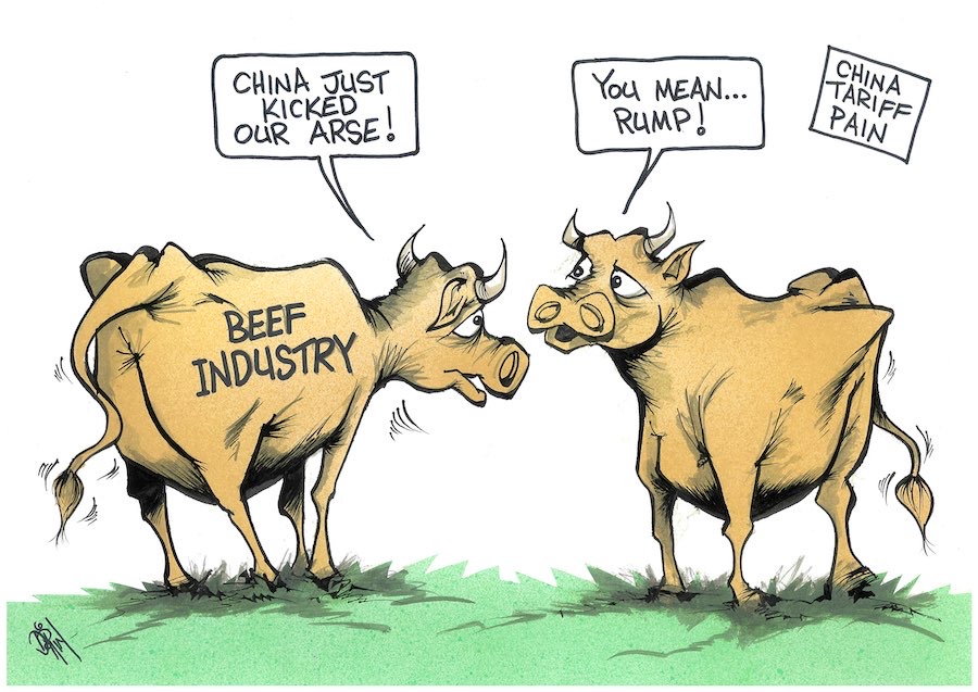 Cartoon / Dose of Dorin