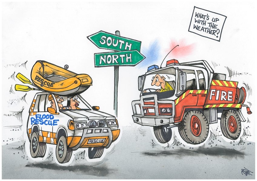 Cartoon / Dose of Dorin