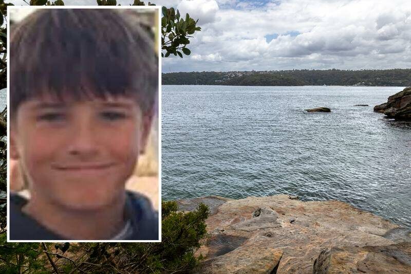 Shark safety boost after horror spate of attacks