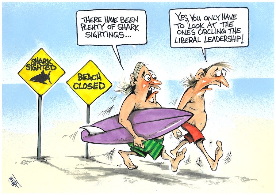 Cartoon / Dose of Dorin