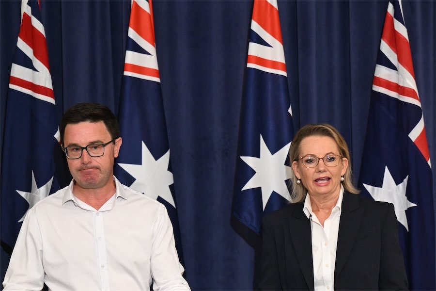 Will poll disaster spark Liberal leadership challenge?