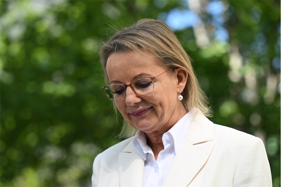 Liberals to face by-election test after Ley resignation