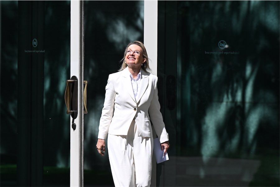 Ley resigns as Liberals knife their first female leader