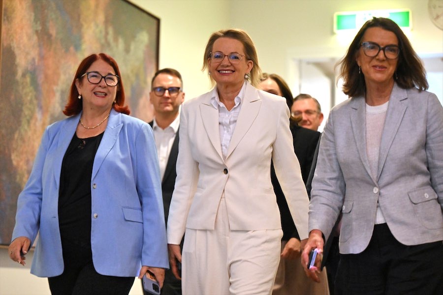 Women ‘already disillusioned’ by Liberals before spill