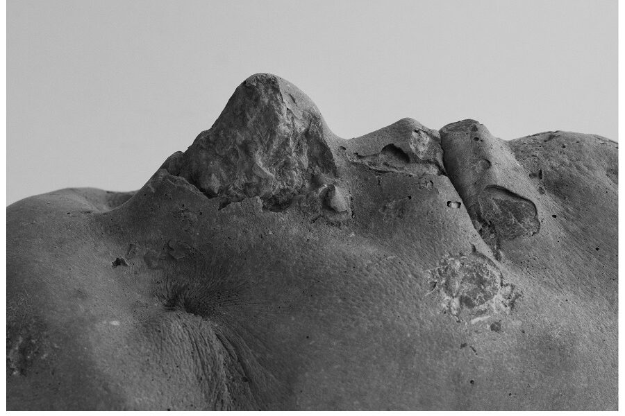 Art and science meet at the melting point