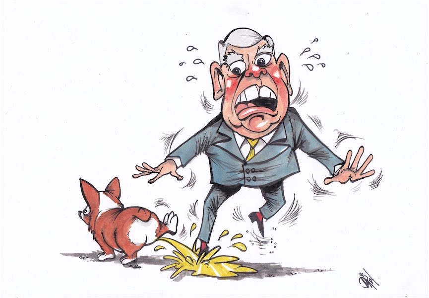 Cartoon / Dose of Dorin