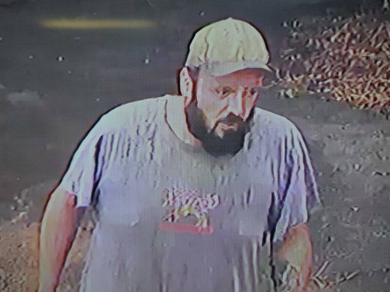 Woodchopper found alive after going missing for days