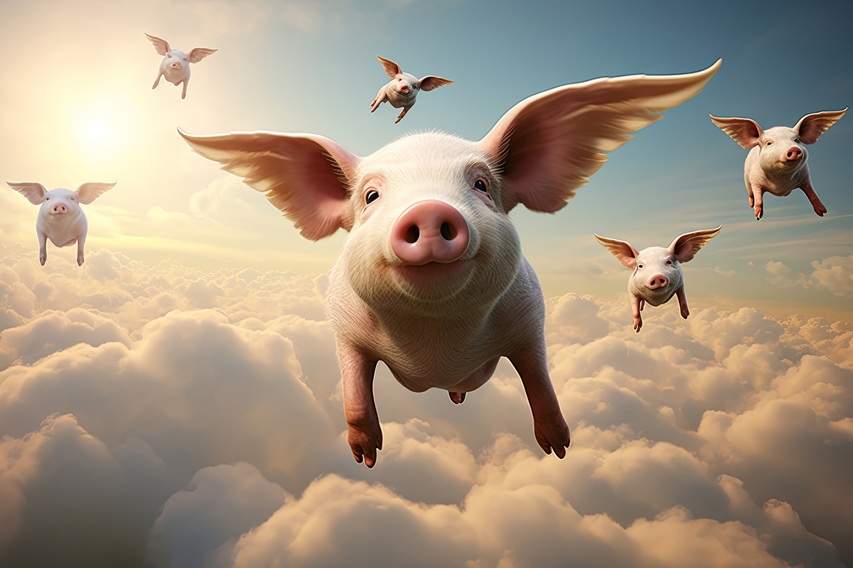 A surplus in two years? And, yes, pigs may fly!