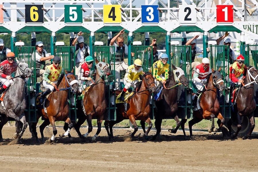 Where do horses go when cameras stop rolling?