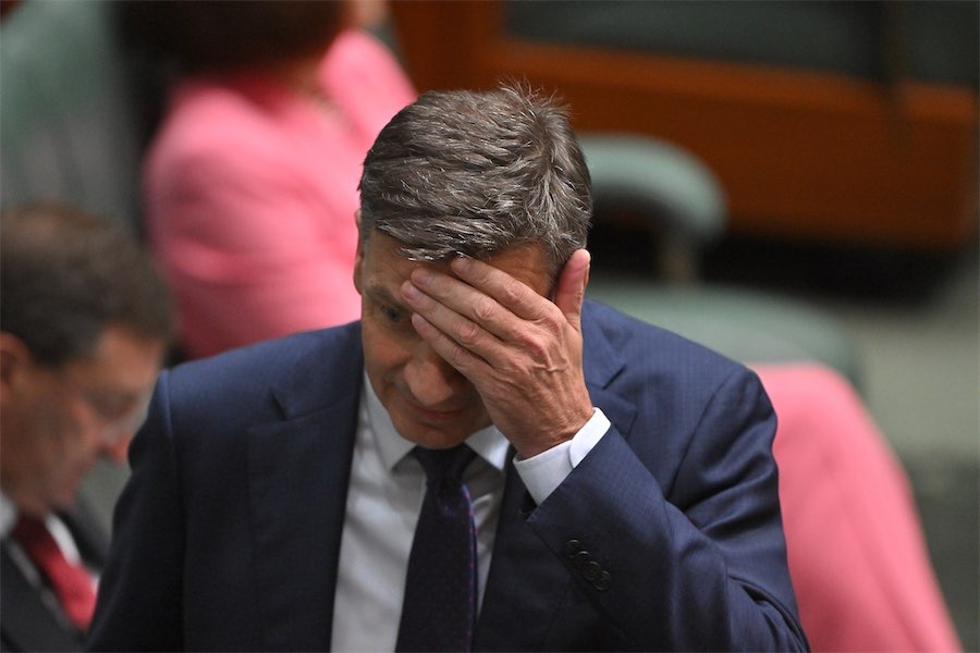 One Nation sends shivers down Angus Taylor’s spine