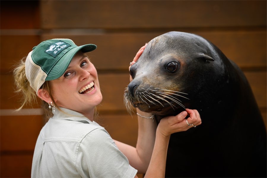 Smart seals surprise behind the scenes