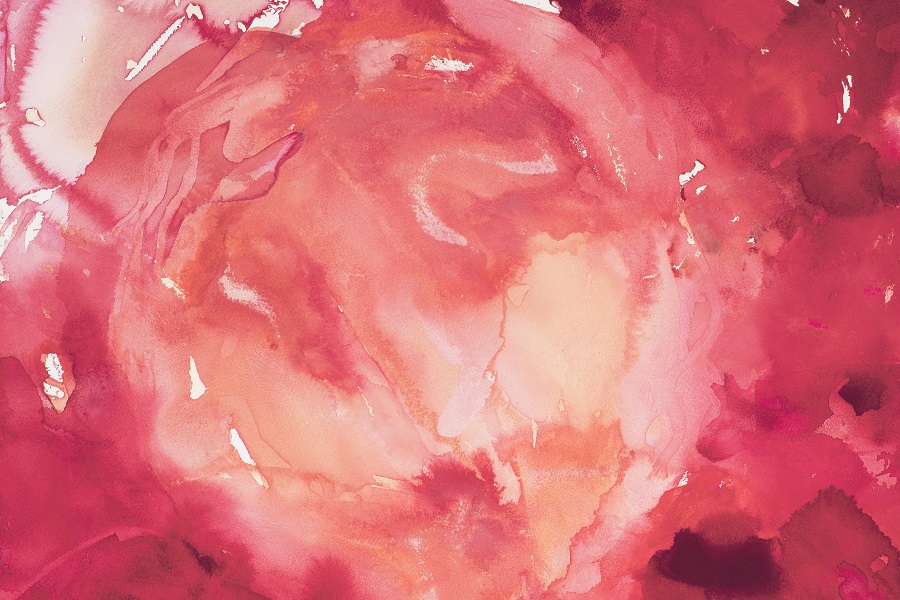 Hotel accommodates Crisp’s big watercolours