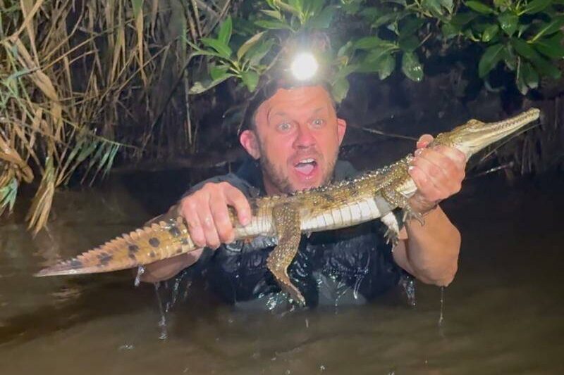Croc spotted behind a Bunnings rescued after 30 hours