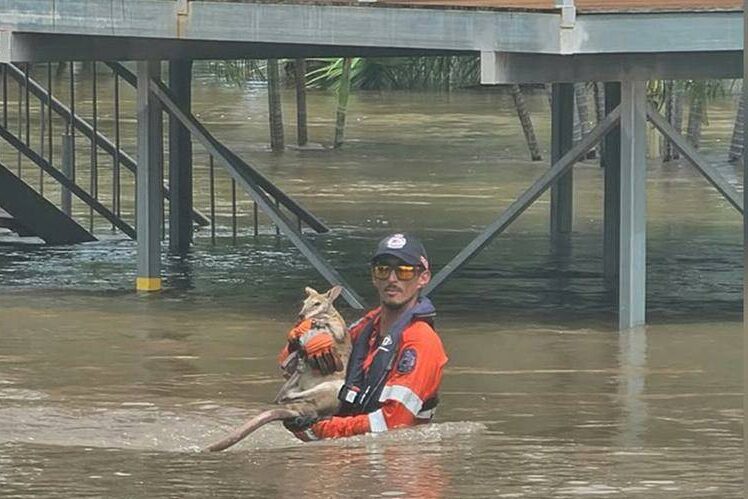 Rain prompts evacuations as 20-year flood hits hard