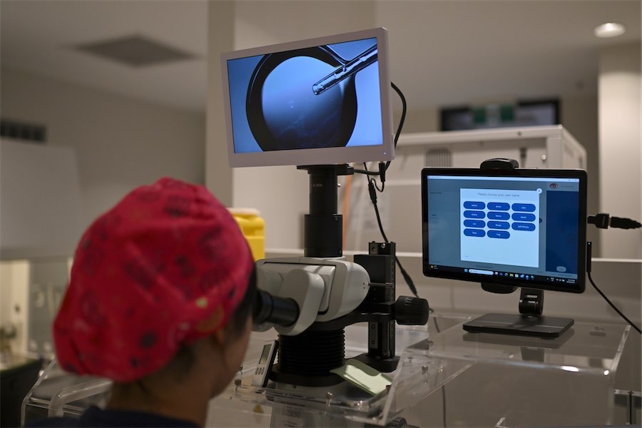 Trial to reshape ‘gruelling, traumatic’ IVF process