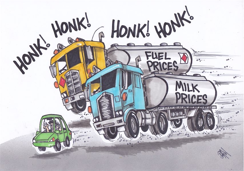 Cartoon / Dose of Dorin