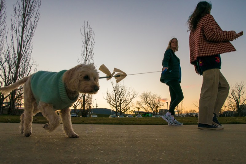 The ‘huge’ health benefits of walkable towns