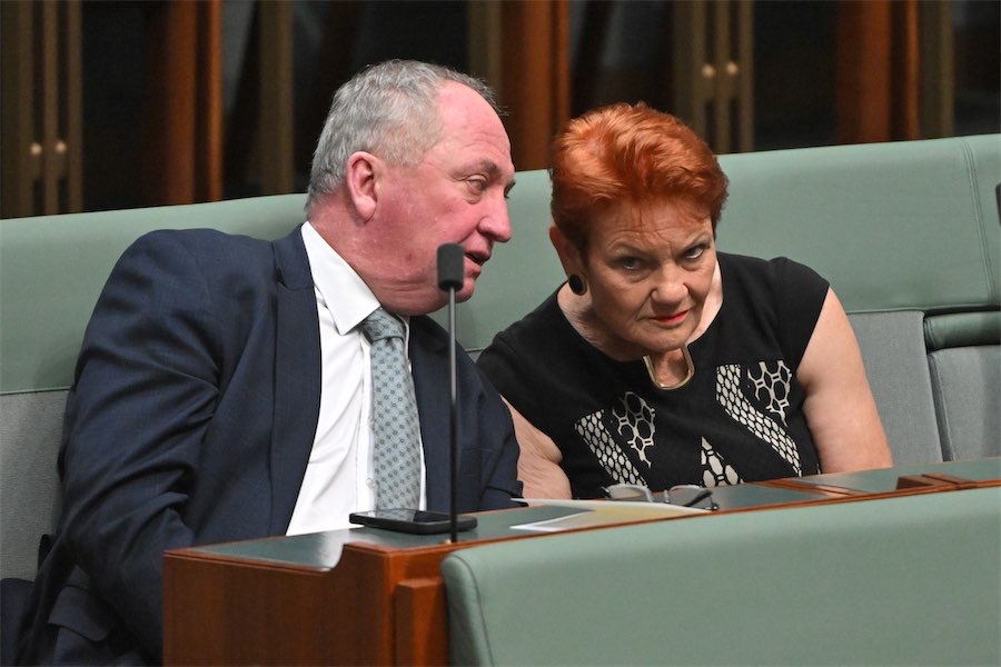 ‘Ridiculed’ Hanson looks to coalition kingmaker role
