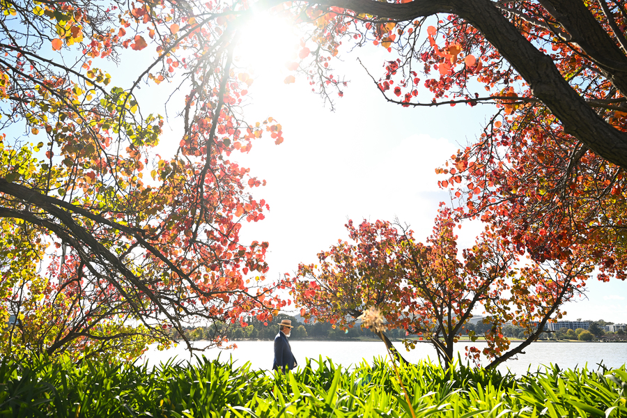 Why has this autumn been so hot and dry?