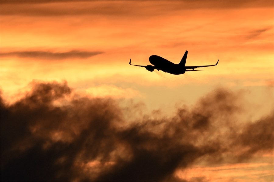 ‘Not loved out there’: senator blasts airline bosses