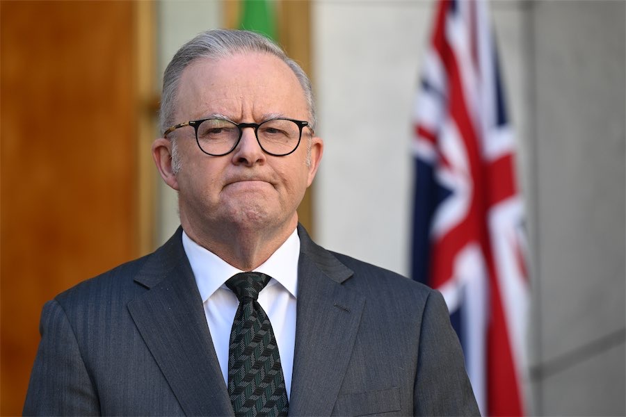 Albanese vows support as man faces Syria death penalty