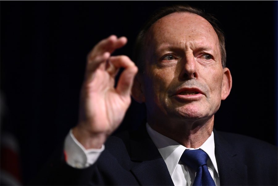 Tony Abbott to tour the country, trying to energise Libs